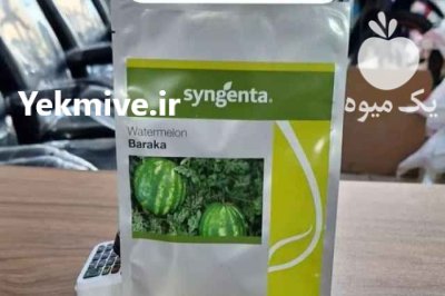 فروش بذر هندوانه باراکا در مشهد در گروه خرید و فروش بذر هندوانه در یکمیوه -عکس1