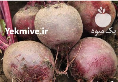 فروش چغندر در اصفهان در گروه خرید و فروش چغندر در یکمیوه -عکس2
