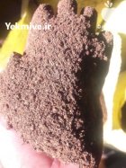 فروش پوست نخود هسته خرما پودرخرما و انواع در تبریز در گروه خوراک دام و طیور در یکمیوه