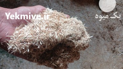 کاه گندم ریز سفید در ارومیه در گروه خوراک دام و طیور در یکمیوه -عکس1