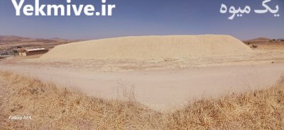 کاه گندم ریز سفید در ارومیه در گروه خوراک دام و طیور در یکمیوه -عکس2