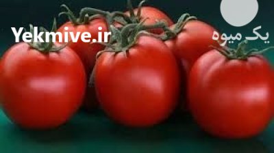 فروش بذر گوجه فرنگی گلخانه ای در کرمان در گروه خرید و فروش بذر گوجه در یکمیوه -عکس1