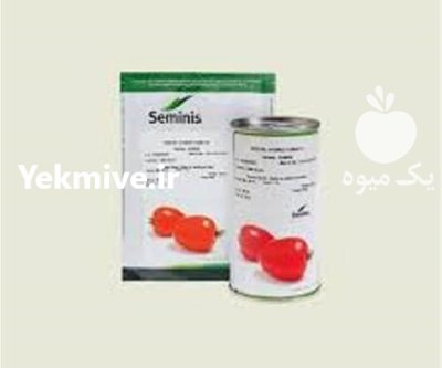 فروش بذر گوجه فرنگی باسیمو در ایلام در گروه خرید و فروش بذر گوجه در یکمیوه -عکس1