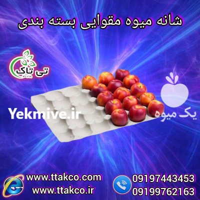 فروش شانه پلاستیکی میوه در شیراز در فارس در گروه خرید و فروش انواع سبد در یکمیوه -عکس1