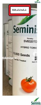 فروش بذر گوجه 8320 سیمنس در اندیمشک در گروه خرید و فروش بذر گوجه در یکمیوه