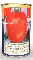 بذر گوجه فرنگی ثنا در بیرجند در گروه خرید و فروش بذر گوجه در یکمیوه