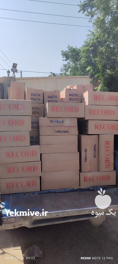 ذغال فشرده چینی مخصوص قلیان در قرچک در گروه خرید و فروش زغال در یکمیوه -عکس3