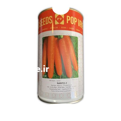 بذر هوج پوپ هلند در بلداجی در گروه خرید و فروش بذر هویج در یکمیوه -عکس1