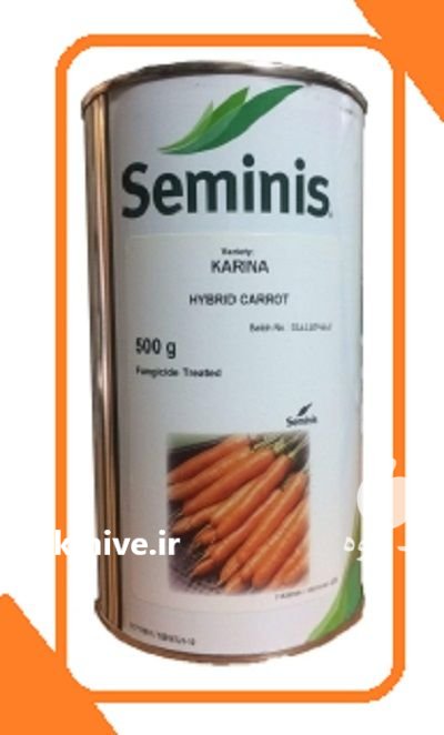 بذر هویج هیبرید کارینا سمینیس در درق در گروه خرید و فروش بذر هویج در یکمیوه -عکس1