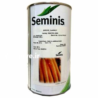بذر هویج نانتس 2000 سمینیس در بناب در گروه خرید و فروش بذر هویج در یکمیوه -عکس1