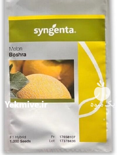 بذر ملون بشرا Boshra F 1 در پاوه در گروه خرید و فروش بذر ملون در یکمیوه -عکس1