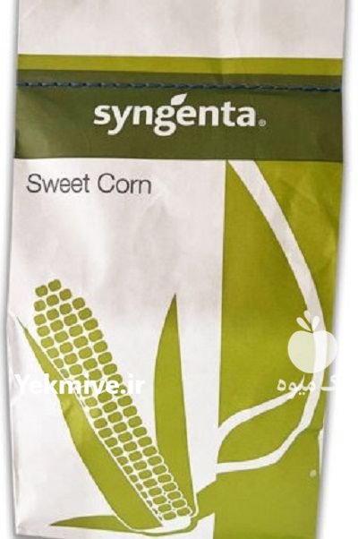 بذر ذرت شیرین کوپر در درق در گروه خرید و فروش بذر ذرت در یکمیوه -عکس1