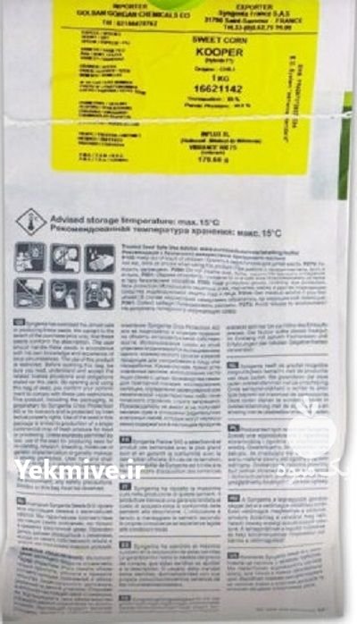 بذر ذرت شیرین کوپر در درق در گروه خرید و فروش بذر ذرت در یکمیوه -عکس2