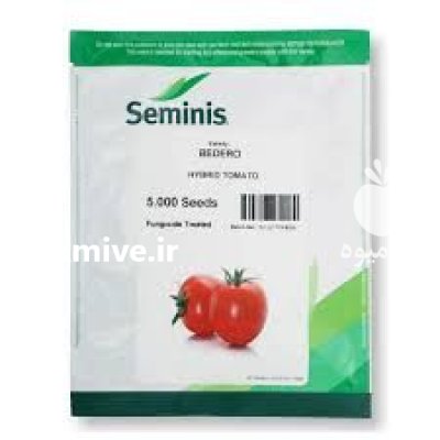 فروش بذر گوجه فرنگی برنتا بذر در ایلام در گروه خرید و فروش بذر گوجه در یکمیوه -عکس2