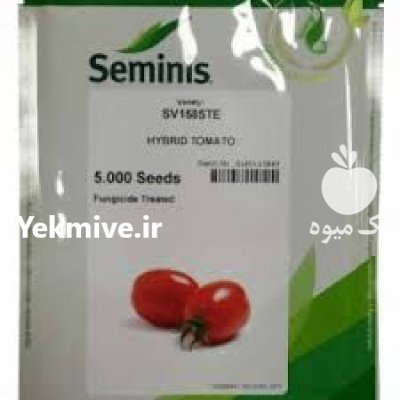 بذر گوجه فرنگی برنتا اصل در اراک در گروه خرید و فروش بذر گوجه در یکمیوه -عکس1