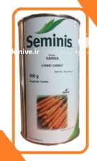 بذر هویج هیبرید کارینا سمینیس در درق در گروه خرید و فروش بذر هویج در یکمیوه