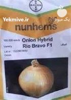 بذر پیاز ریوبراوو انتخابی مطمئن در جیرفت در گروه خرید و فروش بذر پیاز در یکمیوه