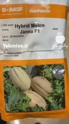 بذر ملون جانا انتخاب حرفه ای در مشهد در گروه خرید و فروش بذر ملون در یکمیوه