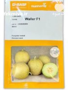 بذر خربزه والر Waller F 1 در جوانرود در گروه خرید و فروش بذر خربزه در یکمیوه