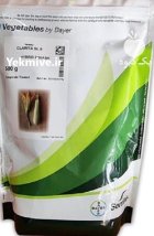 بذر کدو خورشتی کلاریتا تک گل در آشخانه در گروه خرید و فروش بذر کدو در یکمیوه