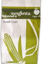 بذر ذرت شیرین کوپر در درق در گروه خرید و فروش بذر ذرت در یکمیوه