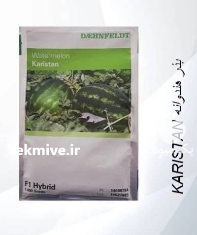 بذر هندوانه کاریستان Karistan F 1 در بار  در گروه خرید و فروش بذر هندوانه در یکمیوه -عکس1