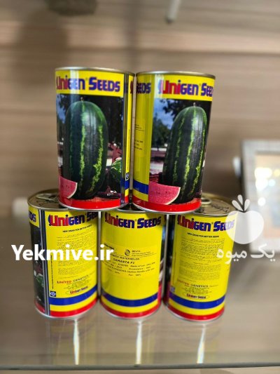 بذر هندوانه یونی ژن در پلدشت در گروه خرید و فروش بذر هندوانه در یکمیوه -عکس1