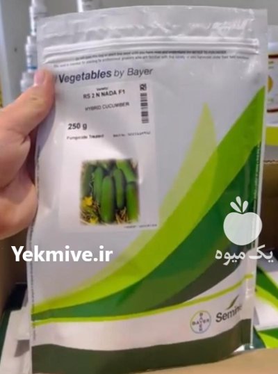 بذر خیار دو ان 2 N در بندرانزلی در گروه خرید و فروش بذر خیار در یکمیوه -عکس1