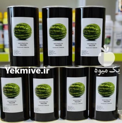 بذر هندوانه فالکون کانیون در یاسوج در گروه خرید و فروش بذر هندوانه در یکمیوه -عکس1