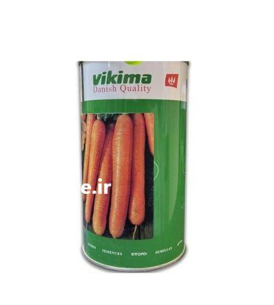 بذر پیاز روز کوتاه طلایی ویکیما در بیرجند در گروه خرید و فروش بذر پیاز در یکمیوه -عکس1