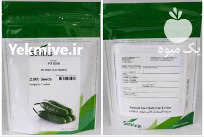 بذر خیار 8306 سمینیس در بیدخت در گروه خرید و فروش بذر خیار در یکمیوه -عکس1