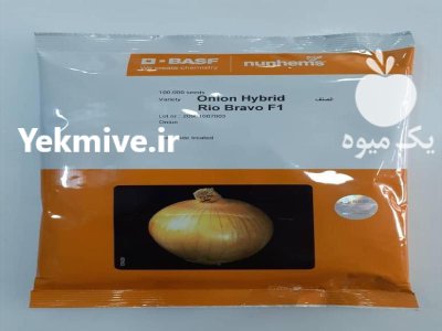 بذر پیاز زرد ریو براوو در بزنجان در گروه خرید و فروش بذر پیاز در یکمیوه -عکس1