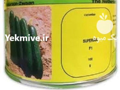 بذر خیار سوپرینا در پلدختر در گروه خرید و فروش بذر خیار در یکمیوه -عکس1
