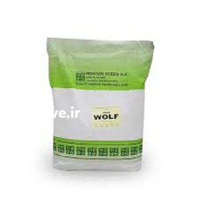 بذر نخود فرنگی ولف روزن سید در اندیمشک در گروه خرید و فروش بذر نخود در یکمیوه -عکس1