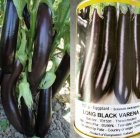 بذر بادمجان بلک وارنا در سنخواست در گروه خرید و فروش بذر بادمجان در یکمیوه