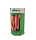 بذر پیاز روز کوتاه طلایی ویکیما در بیرجند در گروه خرید و فروش بذر پیاز در یکمیوه