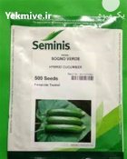 بذر خیار رویال مناسب تولیدکنندگ ان در جیرفت در گروه خرید و فروش بذر خیار در یکمیوه