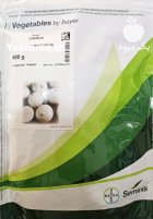 فروش بذر پیاز سایروس در بروات در گروه خرید و فروش بذر پیاز در یکمیوه