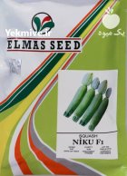 بذر کدو خورشتی بذر کدو نیکو در انار در گروه خرید و فروش بذر کدو در یکمیوه