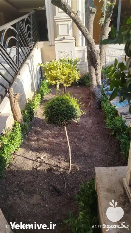 خدمات باغبانی سعادت آباد در تهران در گروه خدمات باغبانی در یکمیوه -عکس1