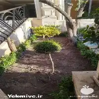 خدمات باغبانی سعادت آباد در تهران در گروه خدمات باغبانی در یکمیوه