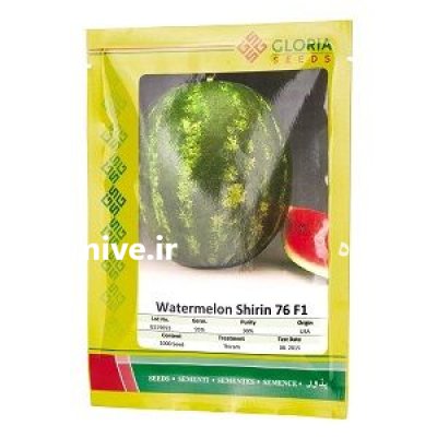 بذر هندوانه شیرین 76 در بستان در گروه خرید و فروش بذر هندوانه در یکمیوه -عکس1