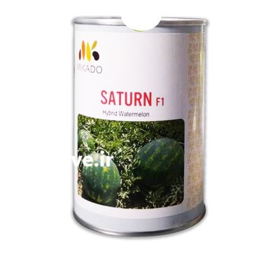 بذر هندوانه ساترن میکادو در تایباد در گروه خرید و فروش بذر هندوانه در یکمیوه -عکس1