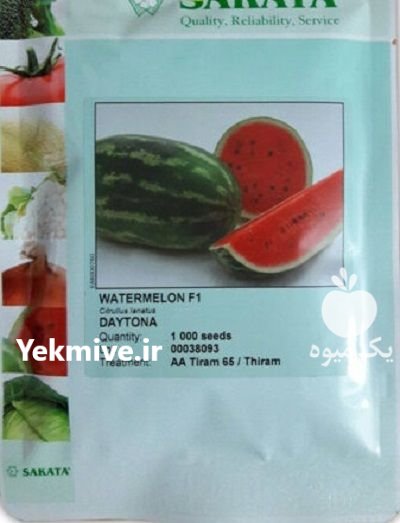 بذر هندوانه دایتونا در پیش قلعه در گروه خرید و فروش بذر هندوانه در یکمیوه -عکس1