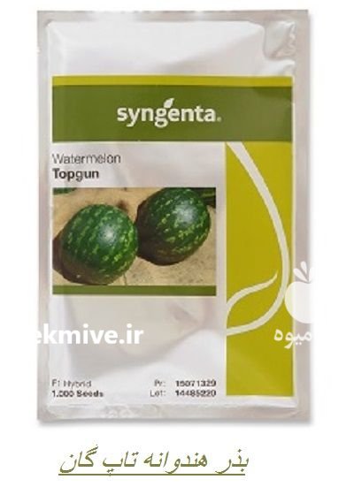 “بذر هندوانه تاپ گان Top Gun در باغین در گروه خرید و فروش بذر هندوانه در یکمیوه -عکس1