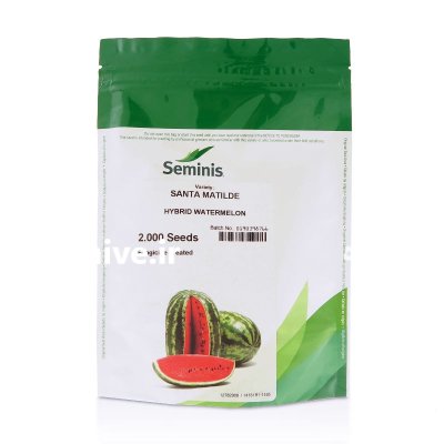 بذر هندوانه سانتا ماتیلده سمینیس در تبریز در گروه خرید و فروش بذر هندوانه در یکمیوه -عکس1