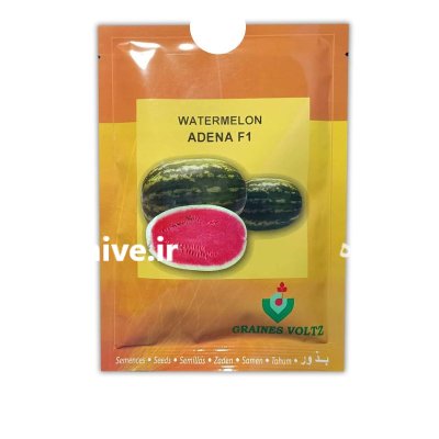 بذر هندوانه کریمسون سوئیت آدنا در بسطام در گروه خرید و فروش بذر هندوانه در یکمیوه -عکس1