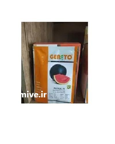 بذر هندوانه پاسگال کریسمون سوئیت در باقرشهر در گروه خرید و فروش بذر هندوانه در یکمیوه -عکس1