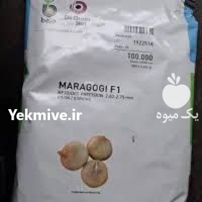 فروش مستقیم بذر پیاز ماراگویی اصل در شیراز در گروه خرید و فروش بذر پیاز در یکمیوه -عکس1