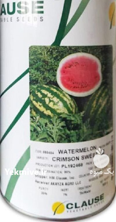 بذر هنداونه کلوز در بن  در گروه خرید و فروش بذر هندوانه در یکمیوه -عکس1